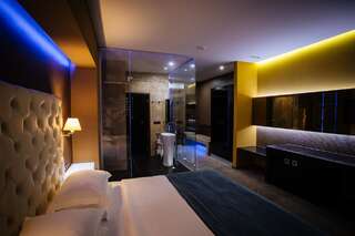 Отель LH Hotel & SPA Львов Двухместный номер Делюкс с 1 кроватью-2